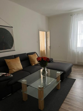 Lovely flat in the city center